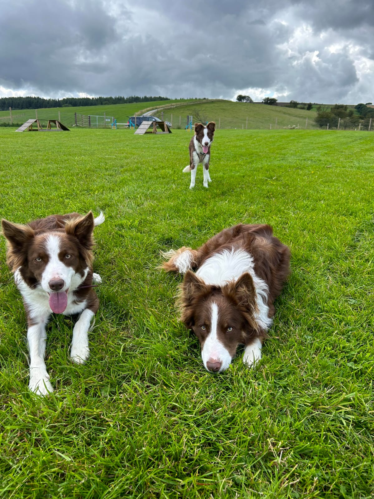 The 'Conkers' - Dougie, Maeve and Isla